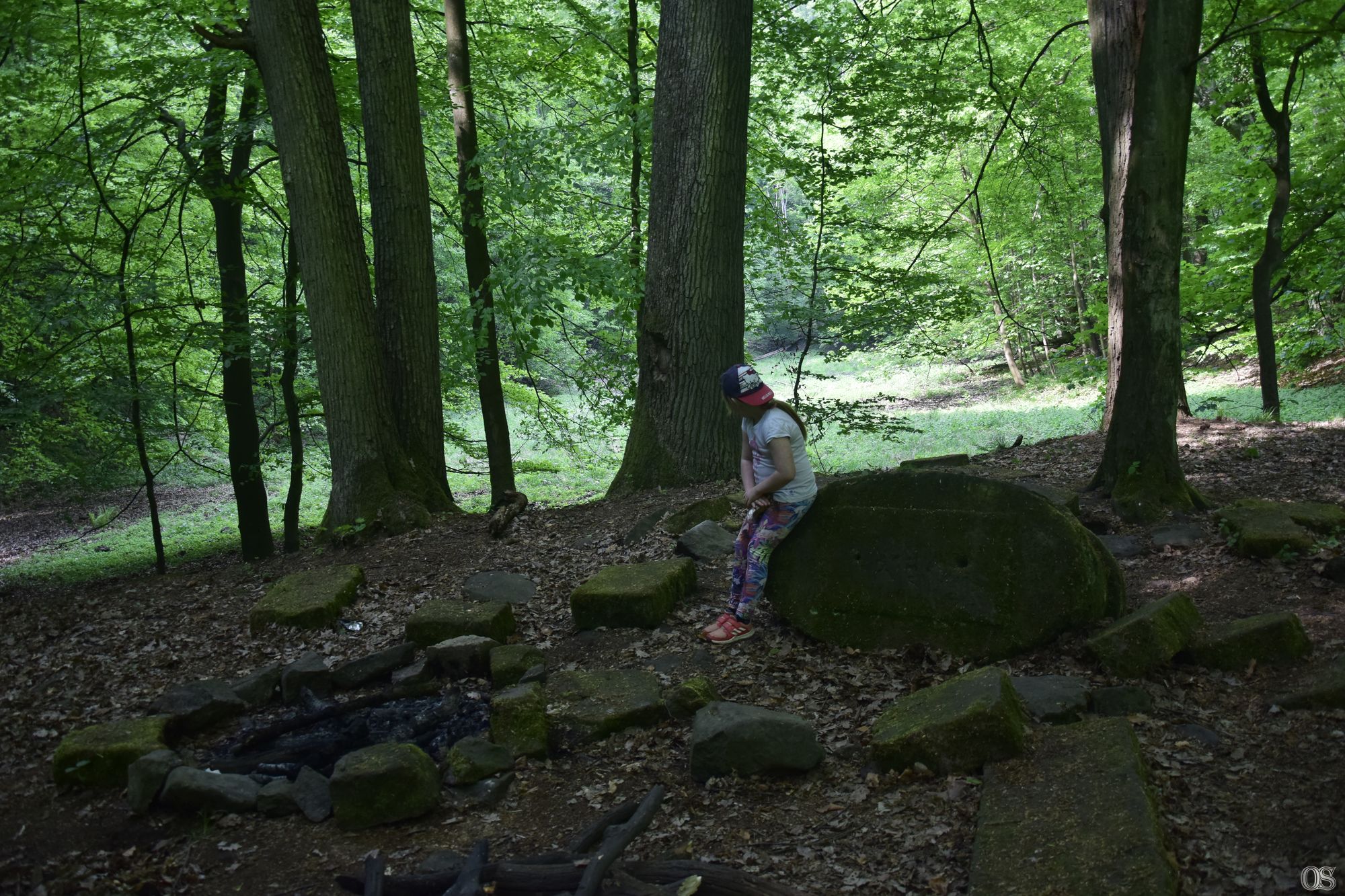 Sciezka Hochbergow 39.jpg
